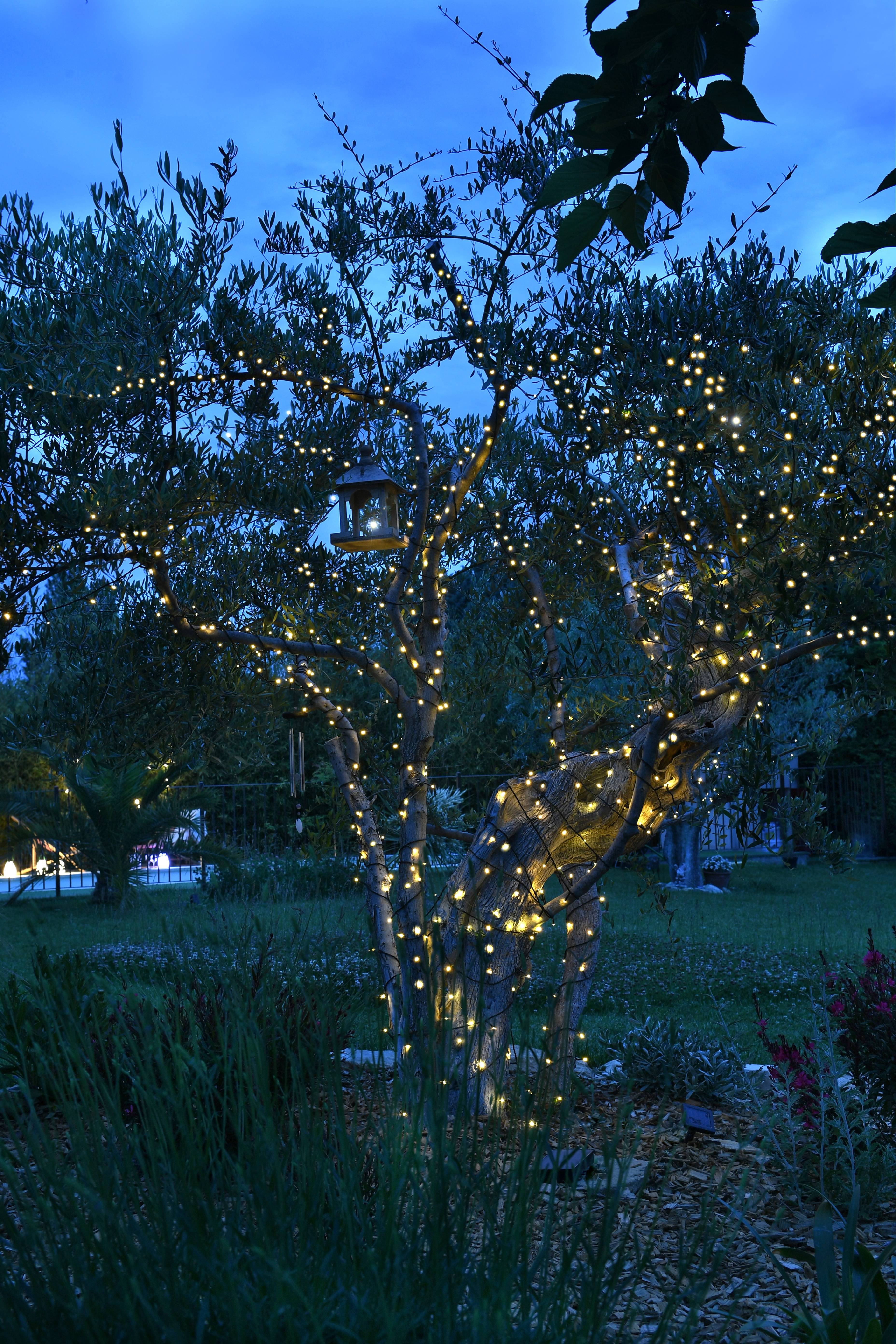 Blachere Illumination - Guirlande solaire LED - L.5 m - Blachère Illumination - Image 3