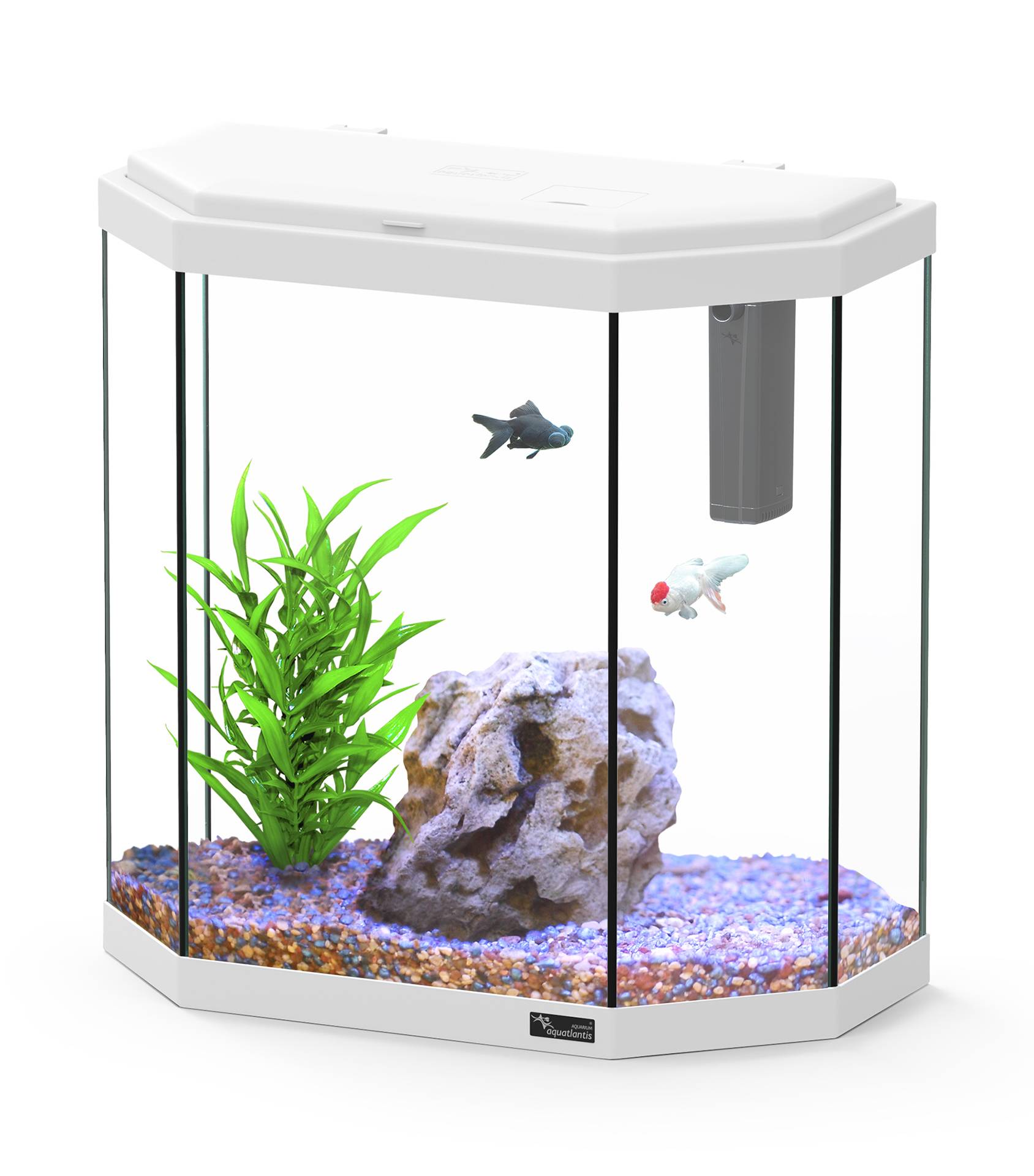 Aquatlantis - Aquatlantis - AQUA EXPLORER ROME C25 LED EQP
