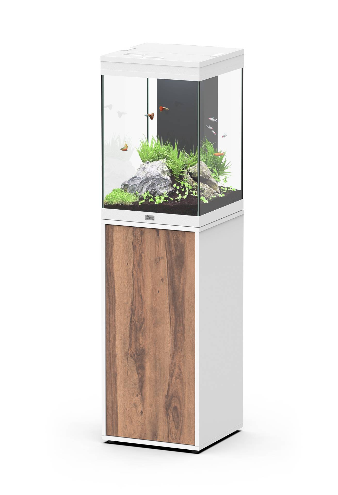 Aquatlantis - Aquatlantis - AQUA TOWER 96 LED EQP