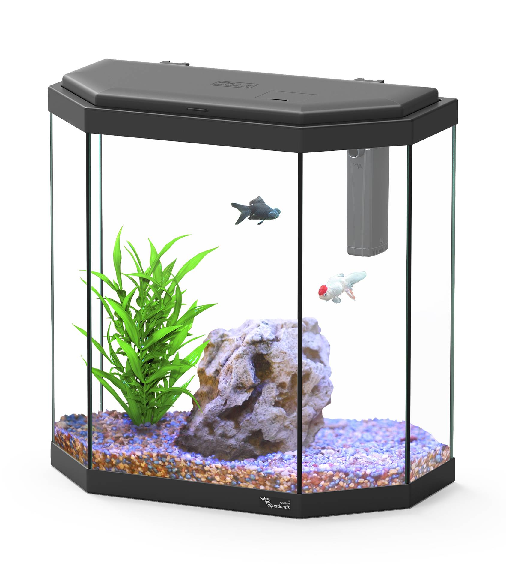 Aquatlantis - Aquatlantis - AQUA EXPLORER ROME C25 LED EQP