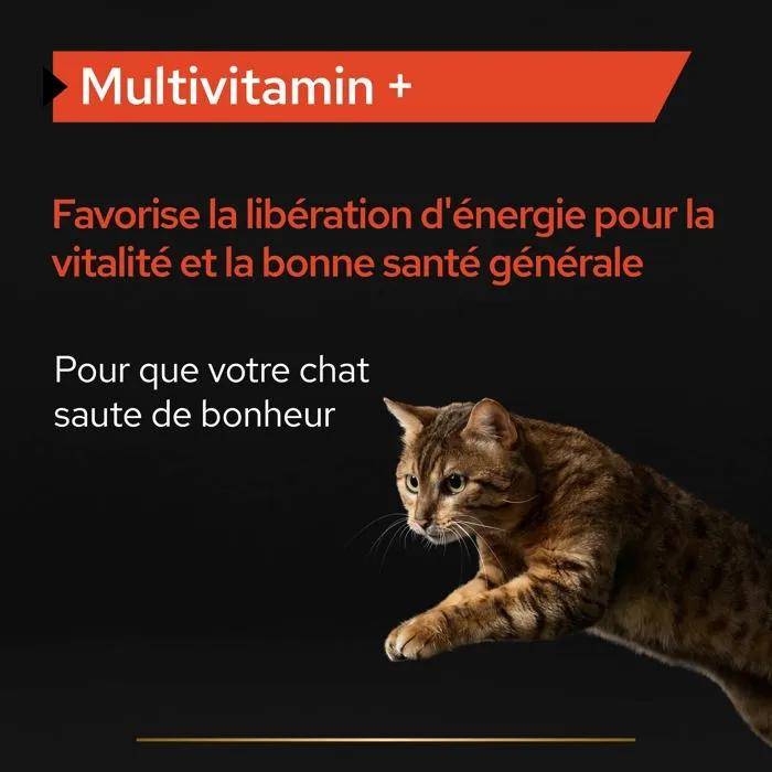Complément alimentaire multivitamins pour chat poudre boîte 60 g - Pro plan - Imagen 2