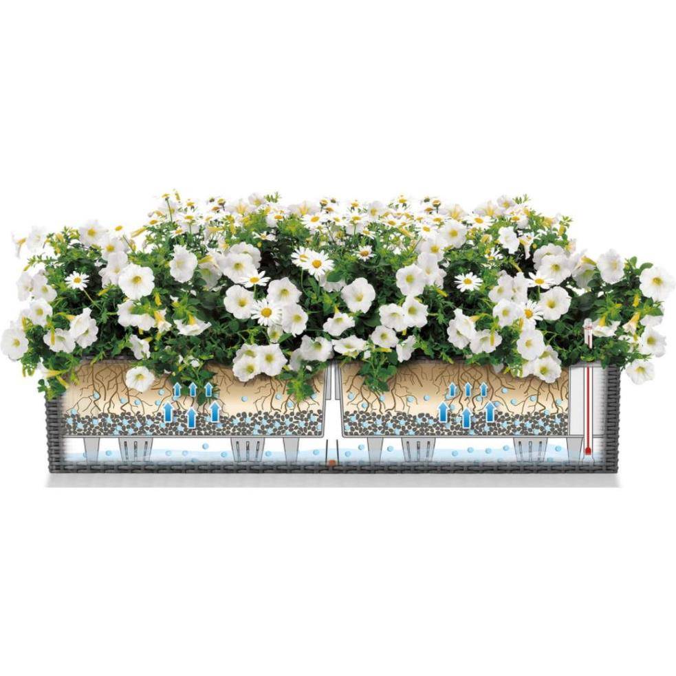 Jardinière Lechuza Balconera Cottage L80 H19 cm Graphit - Image 4