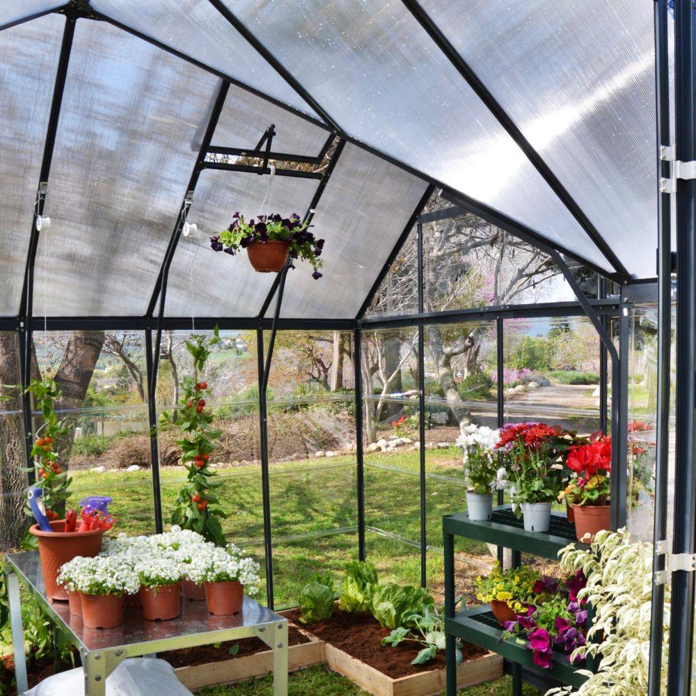 Canopia by Palram - Serre de jardin polycarbonate aluminium gris 11,1 m² Victory Orangery + embase - Canopia by Palram - Image 3