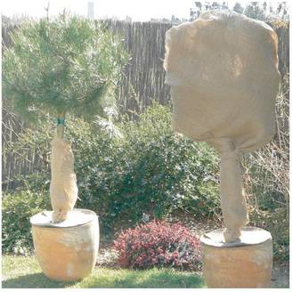 Nortène - Rouleau de protection hivernale en jute L. 10 x l. 1 m 200g/m² - Nortène