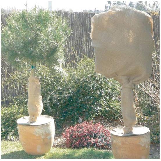 Nortène - Rouleau de protection hivernale en jute L. 10 x l. 1 m 200g/m² - Nortène - Image 1