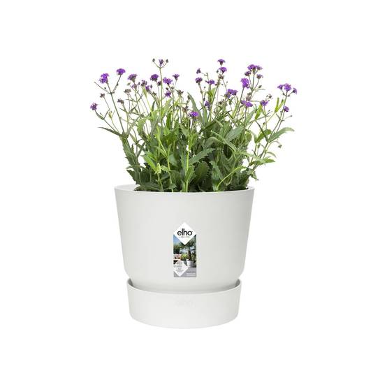 Maceta Elho Greenville Ø47 H44 cm blanco - Imagen 10