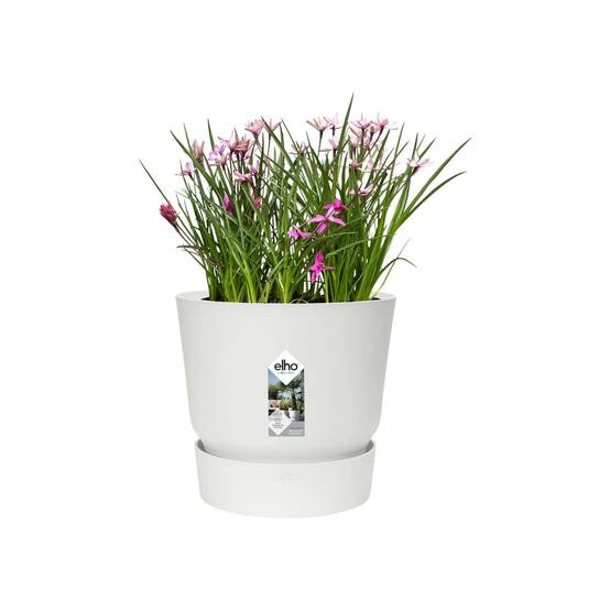 Maceta Elho Greenville Ø47 H44 cm blanco - Imagen 13