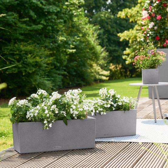 Jardinière Lechuza L50 H19 cm gris pierre - Image 3