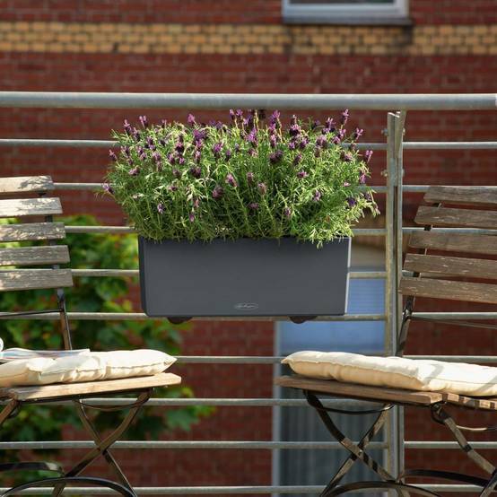 Lechuza - Jardinière Balconera Trend L.50 x l.19 x H.19 cm - Image 4
