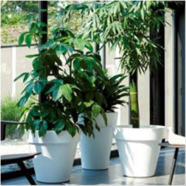 Pot Elho pure round 50 ocre - Image 1