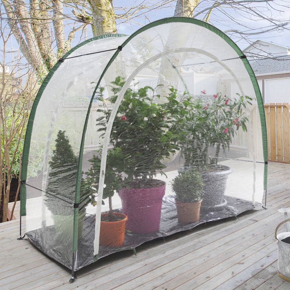 Mini-serre d’hivernage Maxigreen 1.58 m² - Nortene