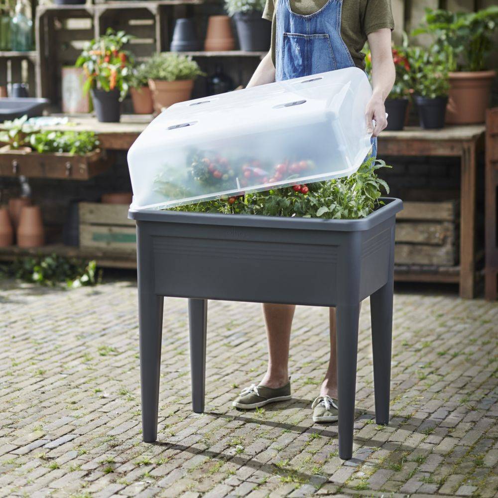 Cloche pour carré potager XXL Elho Green Basics - Image 6