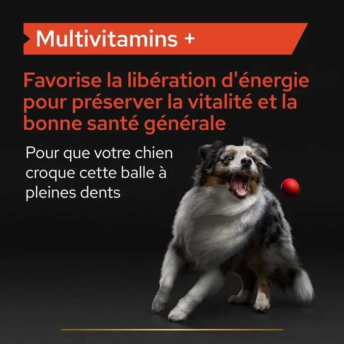 Purina Pro Plan - Comprimés alimentaires multivitamins pour chien boîte 67 g modèle 12505753 - Pro plan - Imagen 4