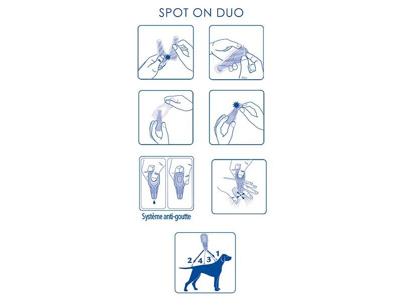 Pipettes spot-on Fipronil et Pyriproxyfène 20-40 kg - VETOCANIS - Imagen 5