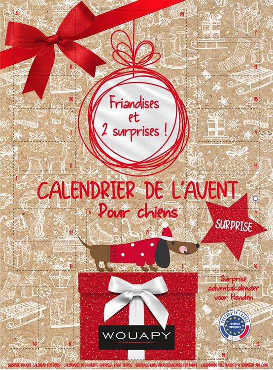 Wouapy - Calendrier Avent Surprise Chien