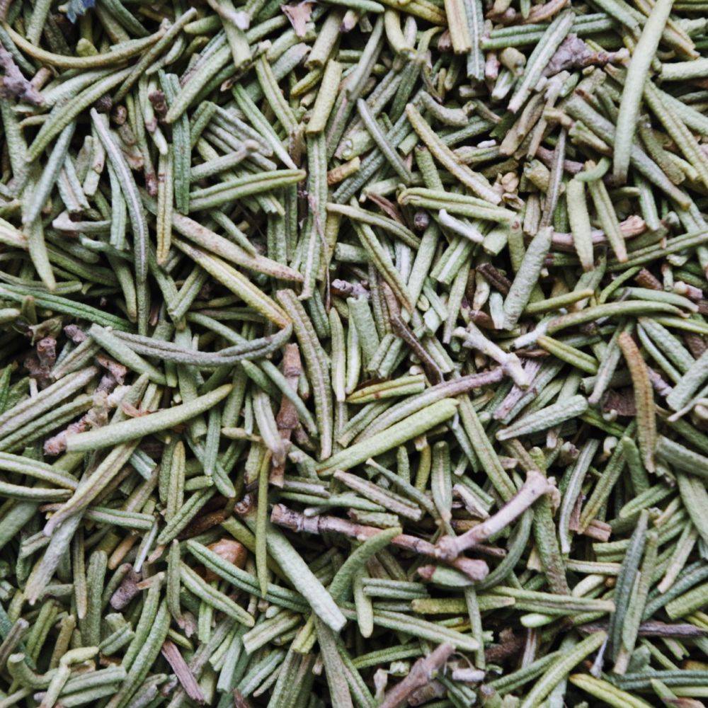 ROSMARINUS officinalis BIO en pot de 2 litres - Image 2