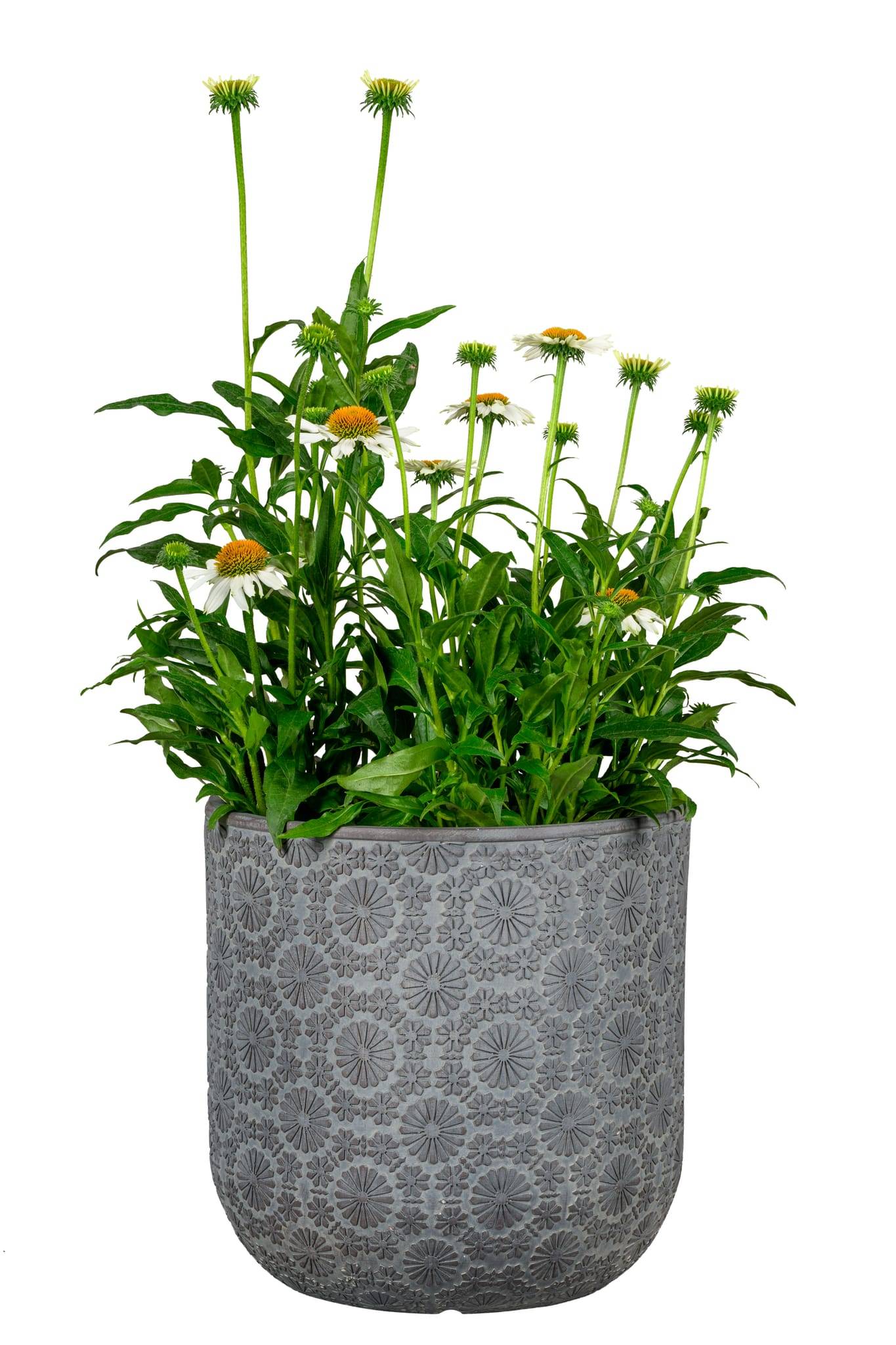 Ecloz - Pot rond Chester Gris foncé en fibre Ø25 x H.25 cm - ECLOZ