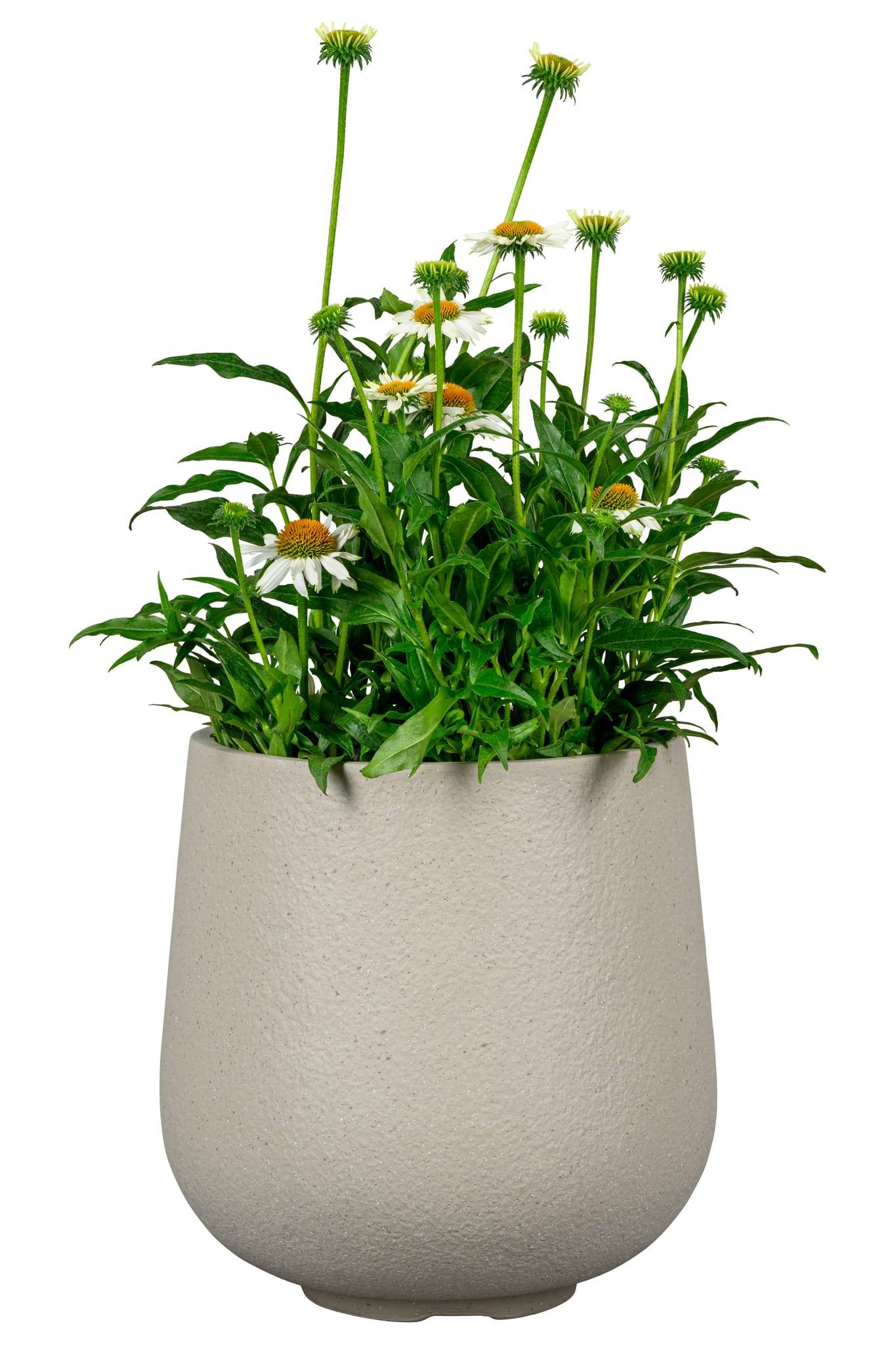Ecloz - Pot rond Alaska Haut taupe Ø.24 x H.24 cm - ECLOZ - Image 2