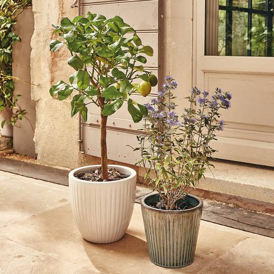 Ecloz - Pot émaillé Atlantique 28cm plusieurs coloris - ECLOZ - Image 1