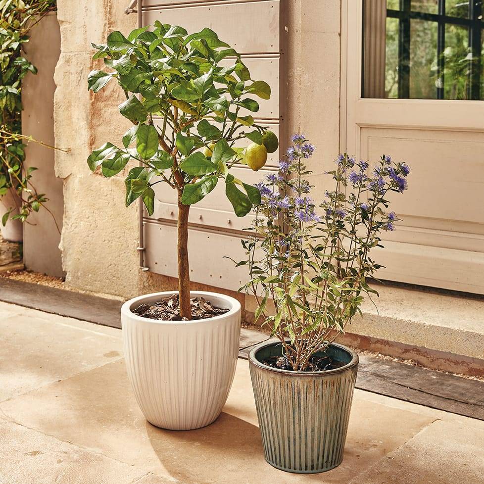 Ecloz - Pot émaillé Atlantique 28cm plusieurs coloris - ECLOZ - Imagen 1