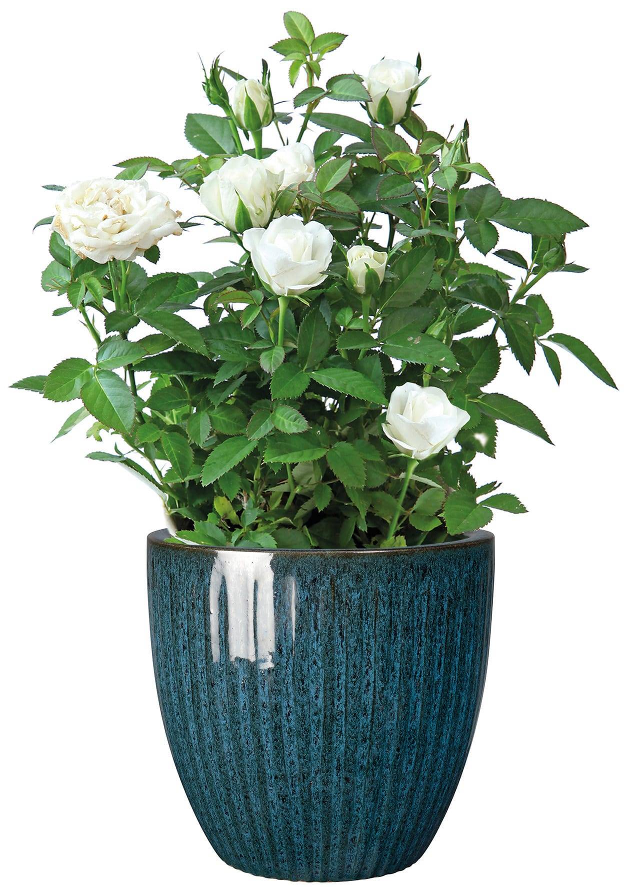 Ecloz - Pot émaillé Atlantique 28cm plusieurs coloris - ECLOZ - Imagen 2