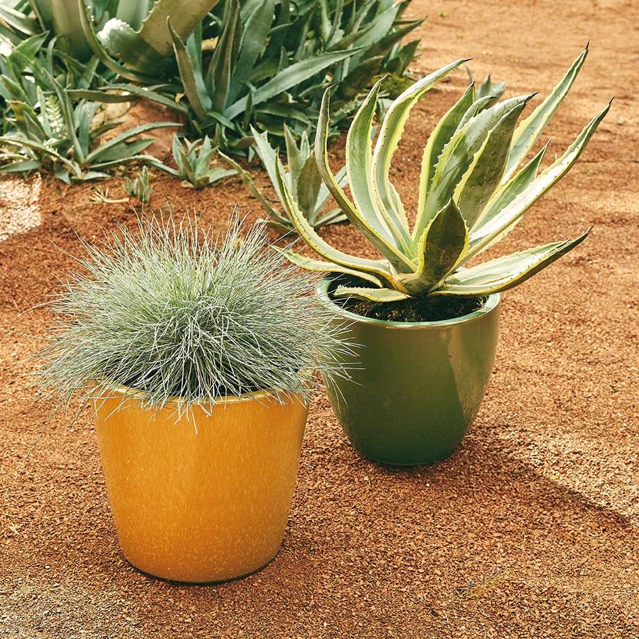 Ecloz - Pot émaillé Bahia 22 cm - plusieurs coloris - ECLOZ - Imagen 9