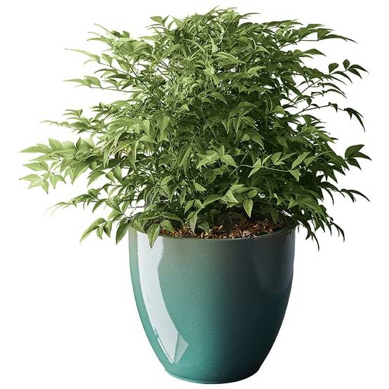 Ecloz - Pot émaillé Bahia 22 cm - plusieurs coloris - ECLOZ - Image 14