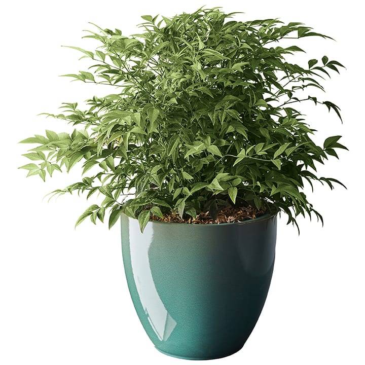 Ecloz - Pot émaillé Bahia 22 cm - plusieurs coloris - ECLOZ - Imagen 14