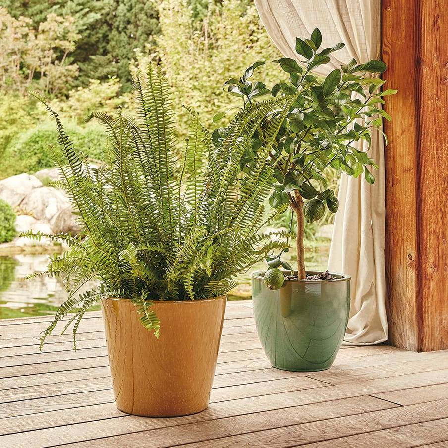 Ecloz - Pot émaillé Bahia 22 cm - plusieurs coloris - ECLOZ - Imagen 13