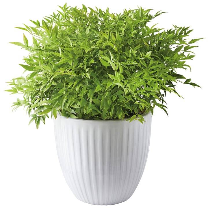 Ecloz - Pot émaillé Atlantique 22 cm - plusieurs coloris - ECLOZ - Image 10