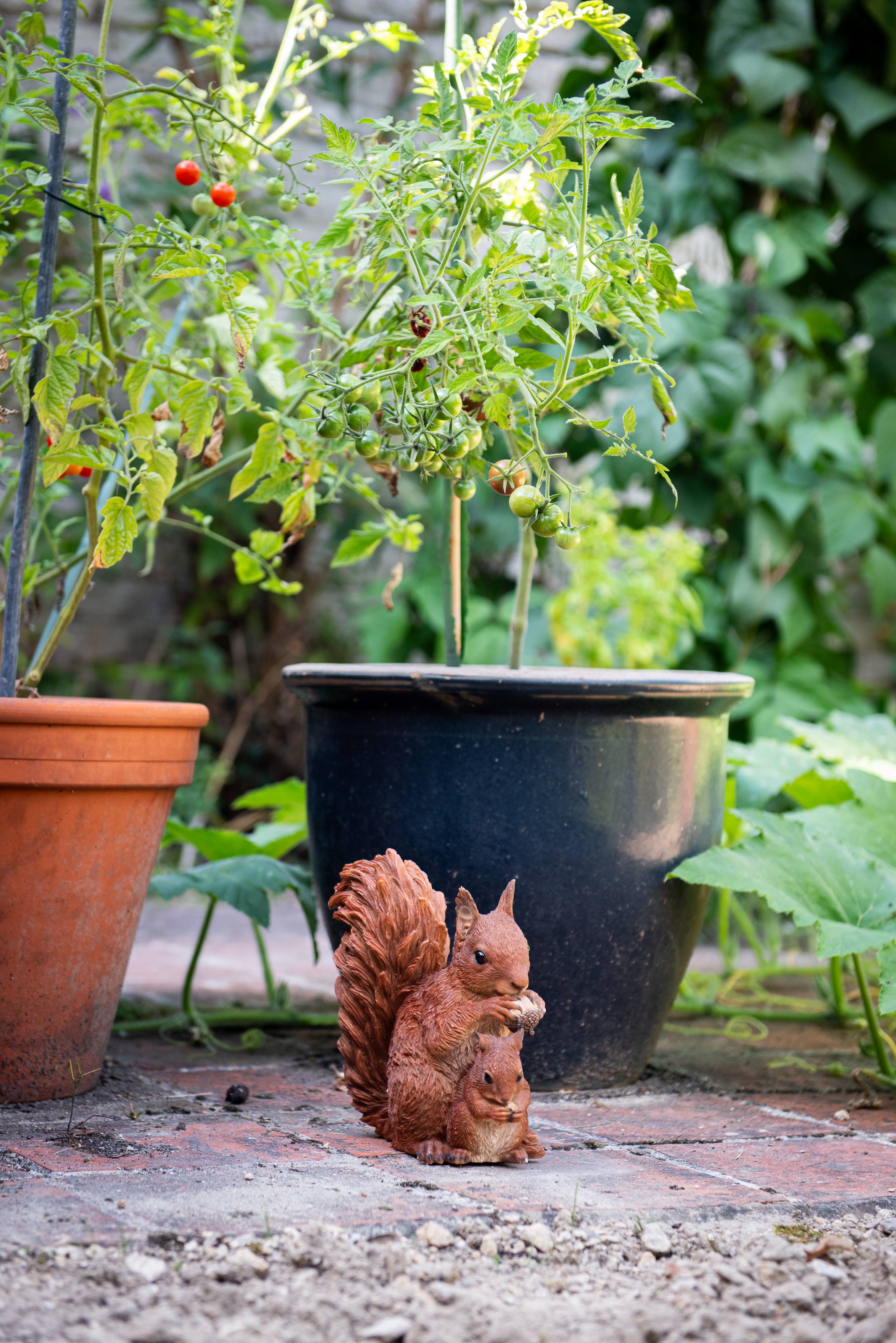 Garden ID - Sculpture écureuil avec bébé L.22 x l.11 x H.20 cm - Garden Id - Image 4
