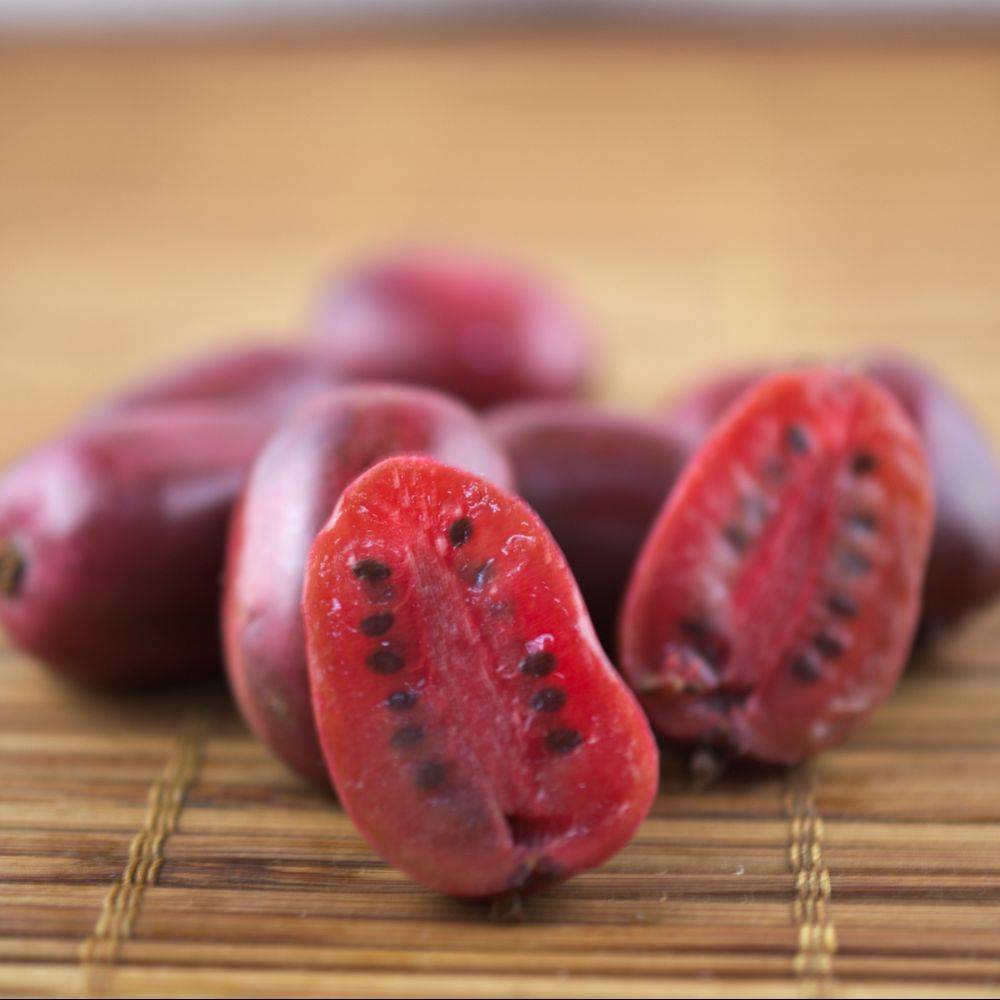 Kiwaï ou Kiwi arguta 'Ken's Red' (Femelle)