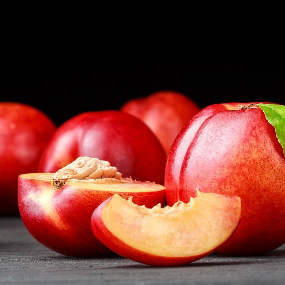 Nectarinier nain 'Rubis®' - Image 3