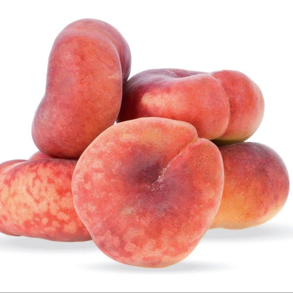 Pêcher de balcon à fruit plats 'Peach Me Donut'  - Fruit Me®