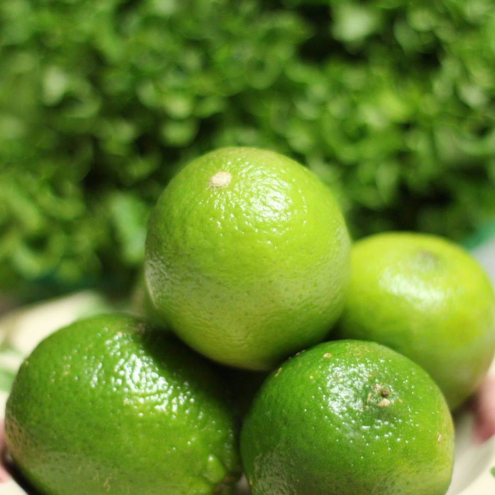 Citron vert - Lime de Tahiti