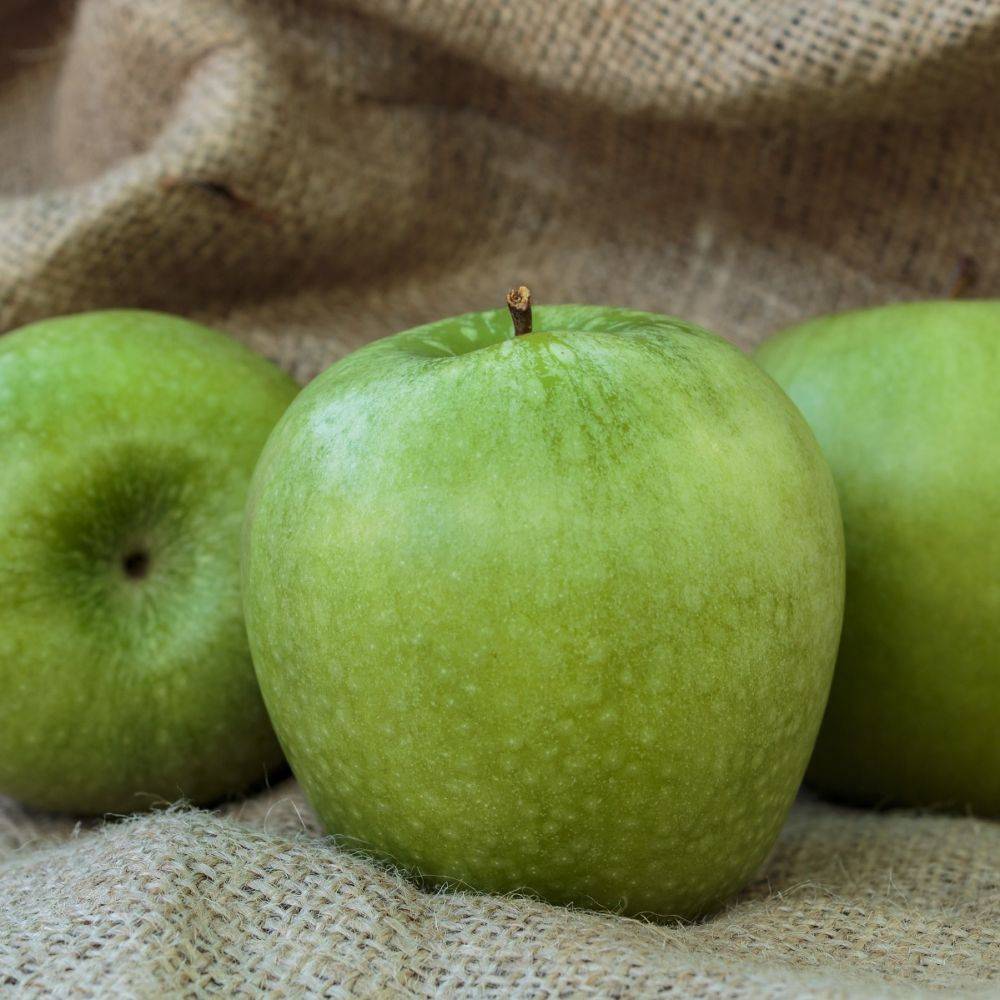 Pommier 'Granny Smith' : taille en palmette U - Image 2