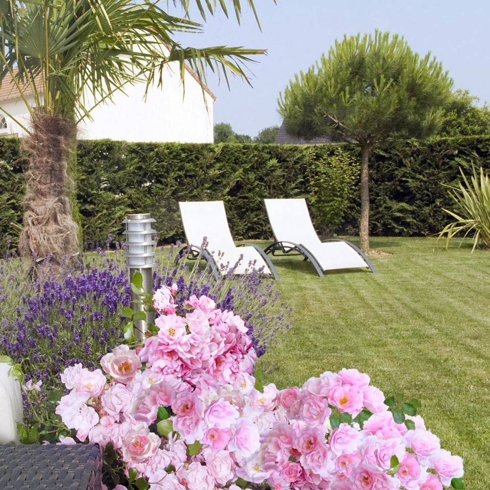 Rosier Décorosier® MAREVA®