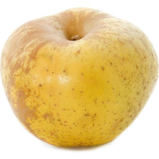 Pommier 'Reinette blanche du Canada' : taille en palmette U - Image 1