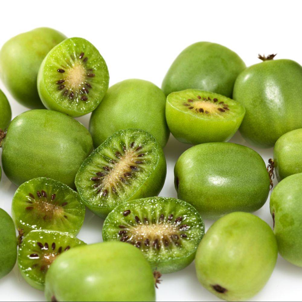 Kiwaï ou Kiwi arguta autofertile 'Issaï' - Image 1