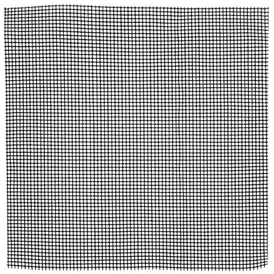 Ecloz - 2 grilles lavables 36 x 40 cm - Fibre de verre revêtement