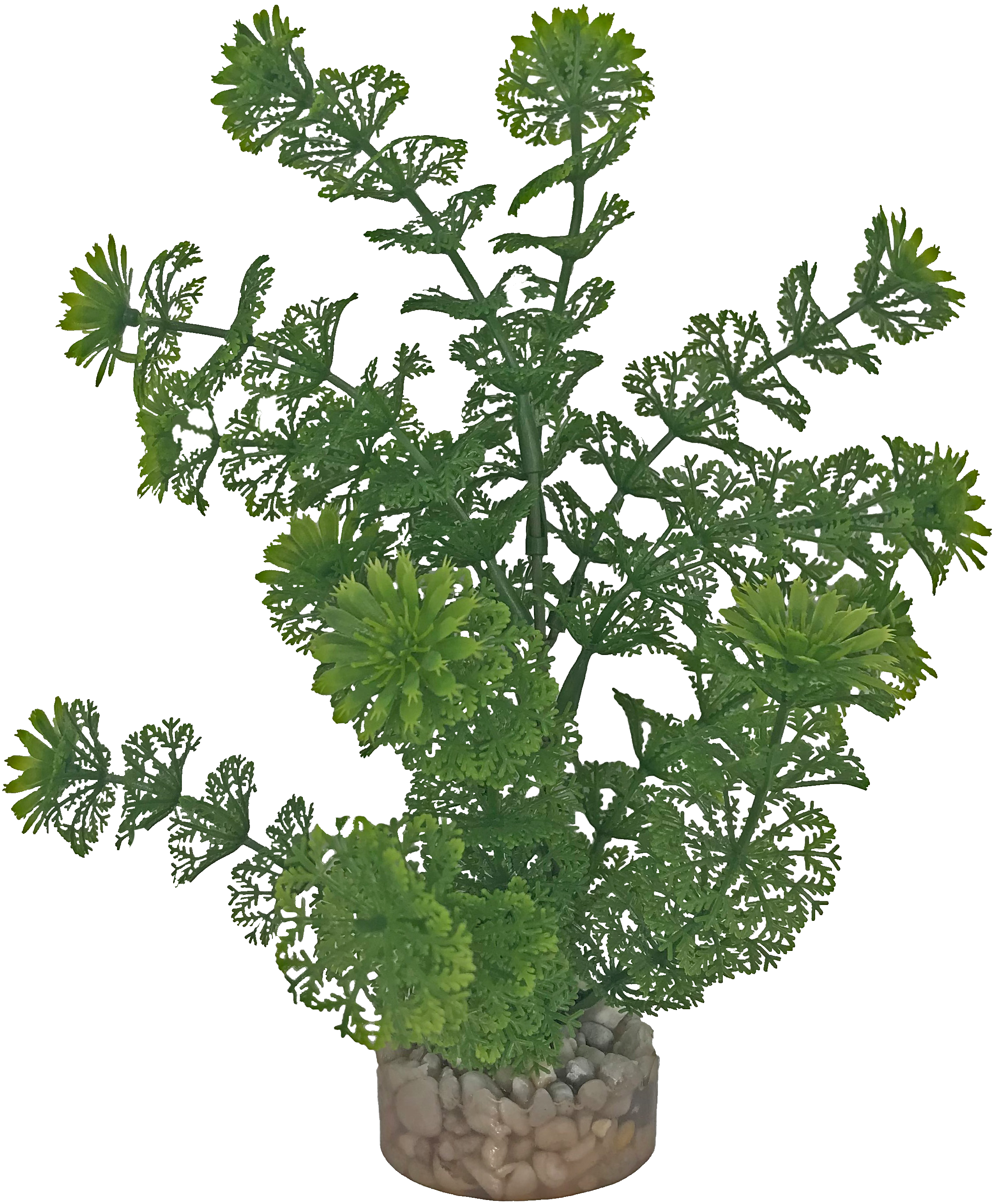 Labéo - Planta artificial Limnophilia modelo mediano - H.14 cm - Labéo