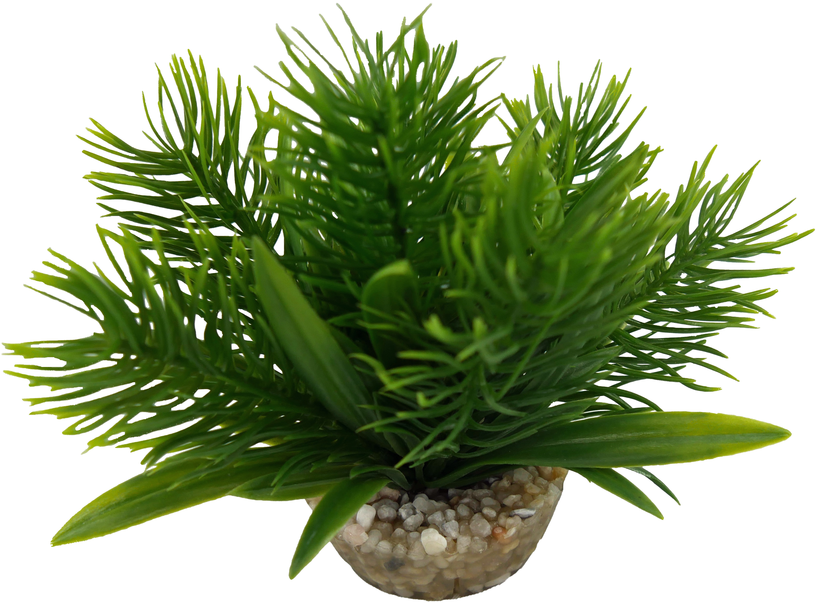 Labéo - Plante artificielle Egeria - H.10 cm - Labéo