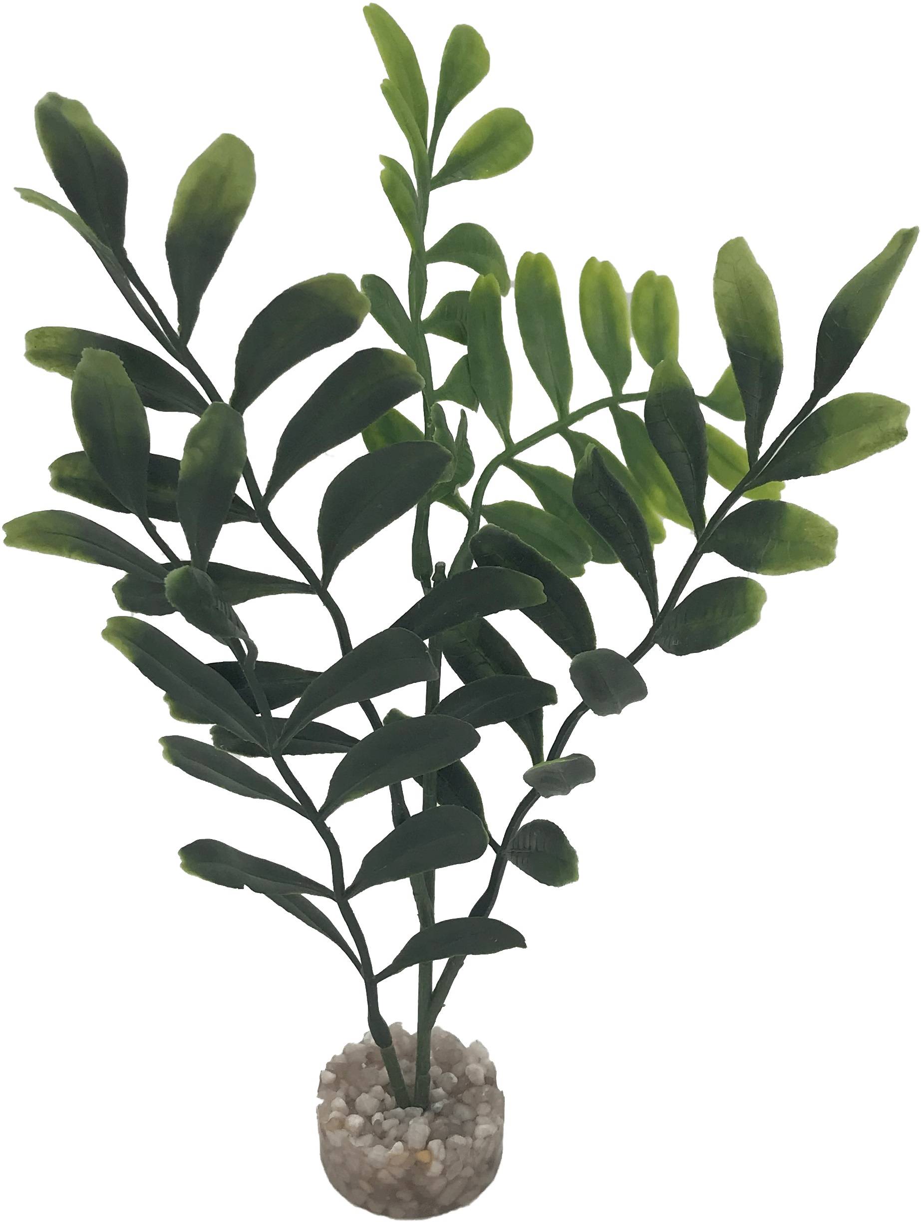 Labéo - Arbre longues feuilles petit modèle - H.22 cm - Labéo - Image 2