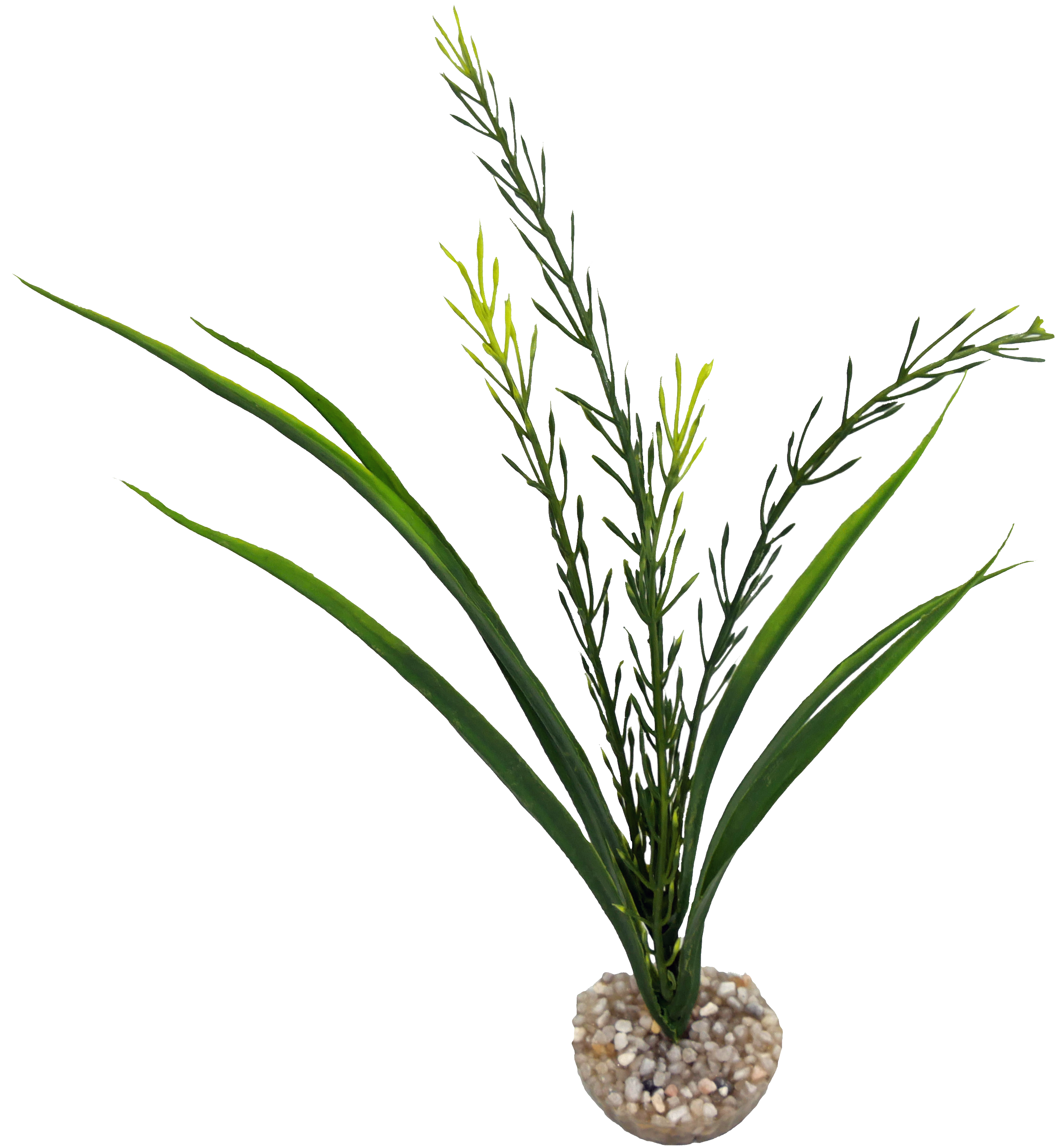 Labéo - Plante Elodea artificielle petit modèle - H.25 cm - Labéo