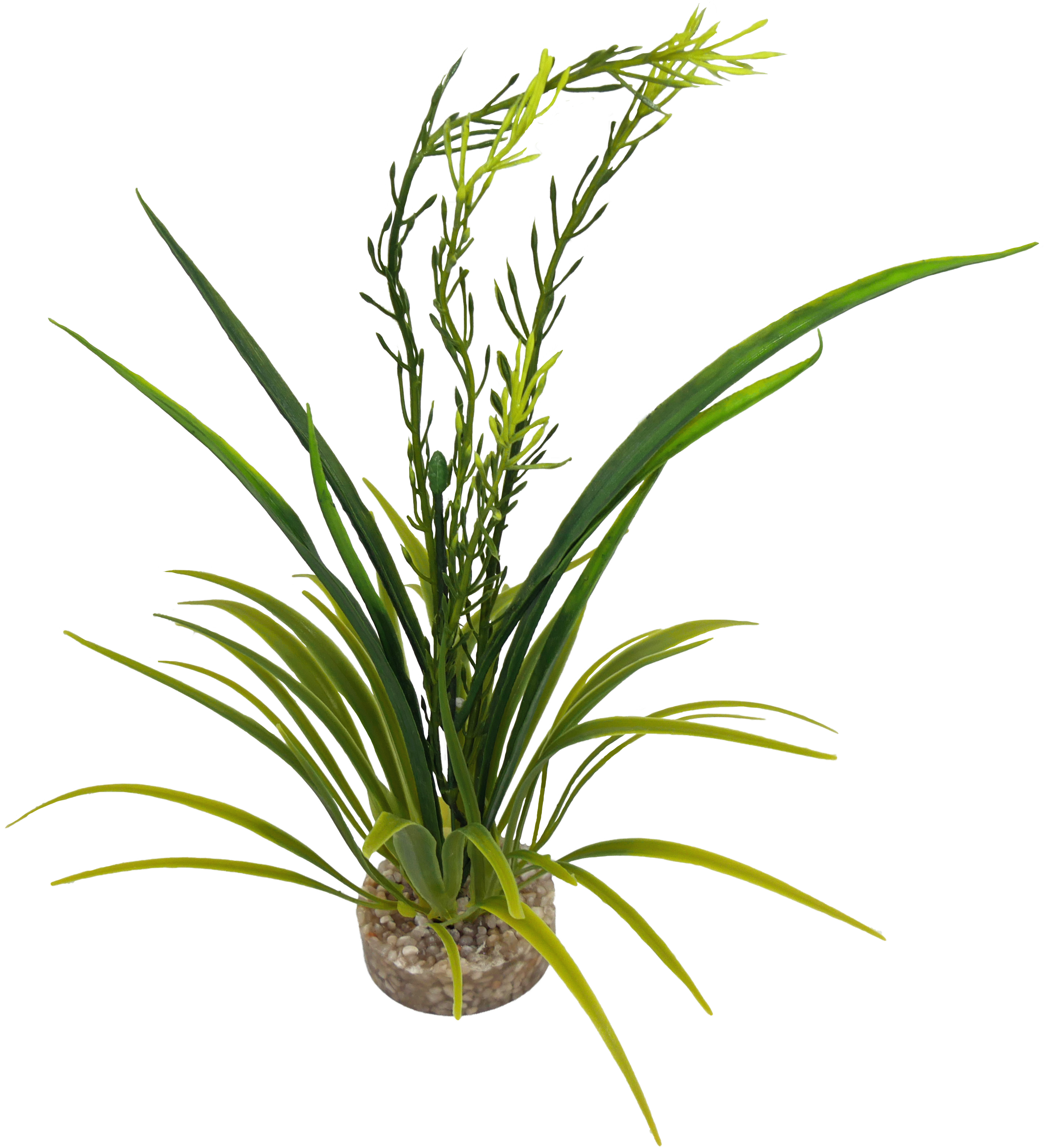 Labéo - Plante artificielle Elodea avec corolle - H.26 cm - Labéo