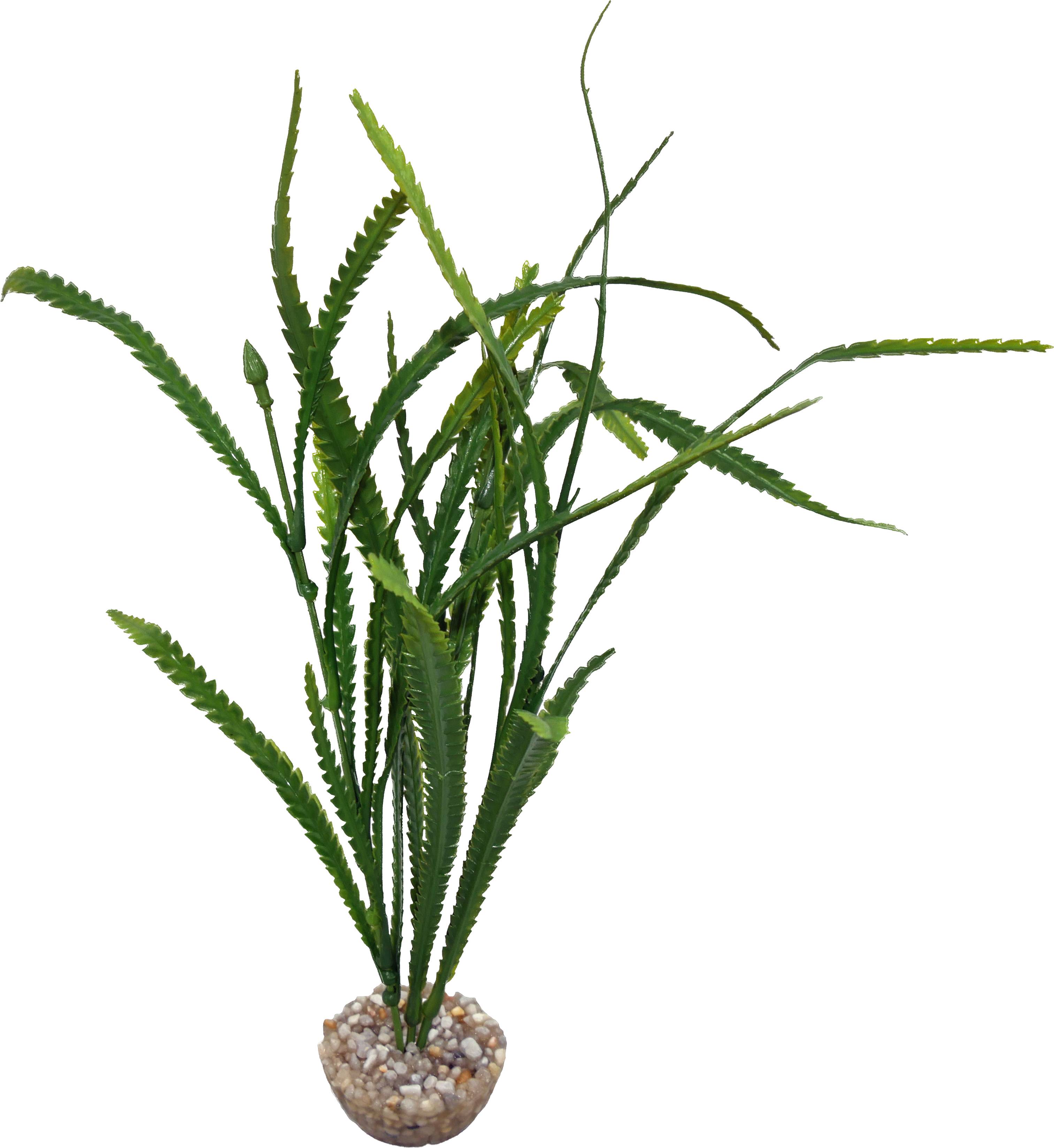 Labéo - Plante artificielle Aponogeton petit modèle - H.25 cm - Labéo
