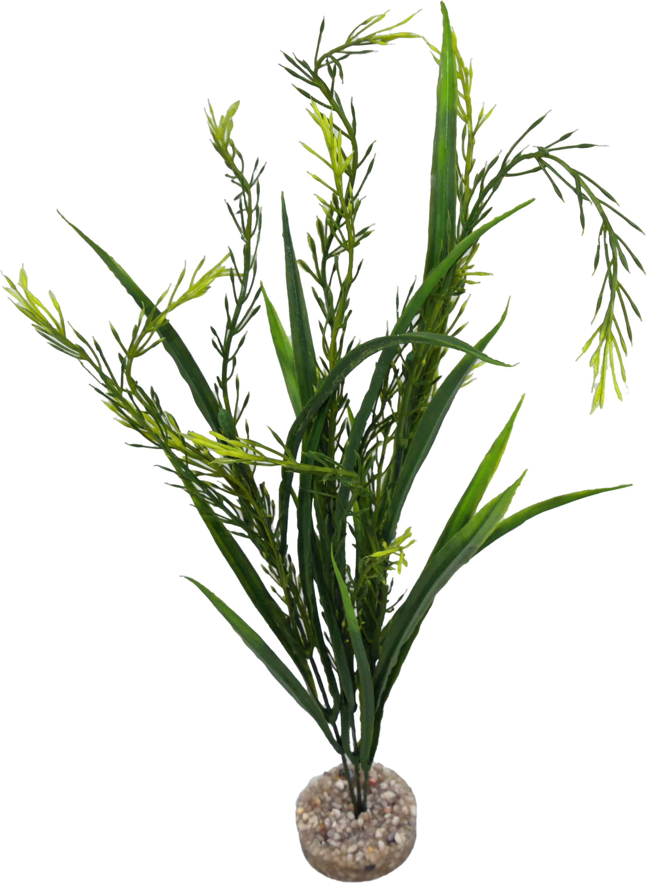 Labéo - Plante artificielle Elodea moyen modèle verte - H.38 cm - Labéo