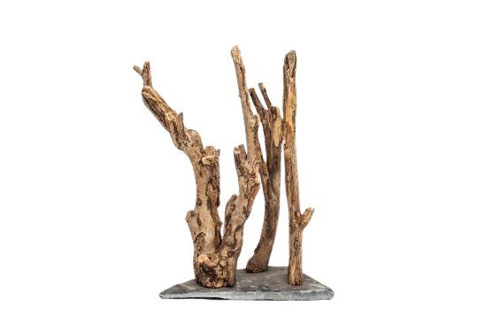 Tyrol - TYROL - Racine naturelle pour aquarium H.15 - 20 cm