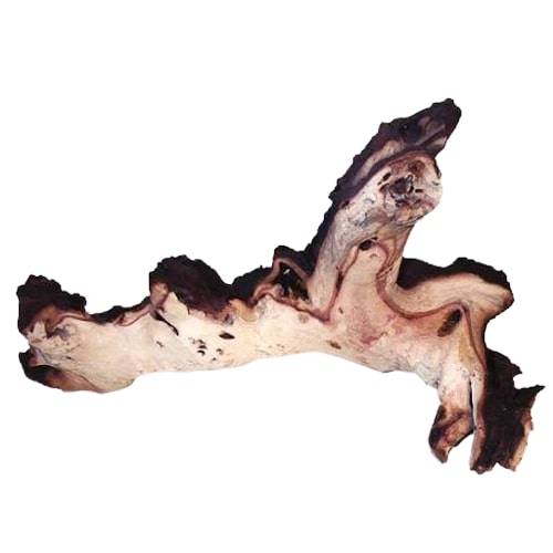 Tyrol - TYROL - Racine naturelle pour aquarium L.10 - 20 cm