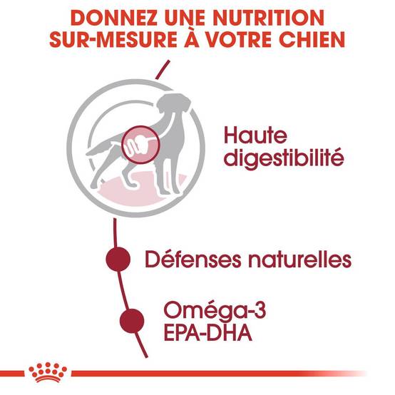 Royal Canin - Aliment Complet Chiens Moyens ROYAL CANIN - Image 7